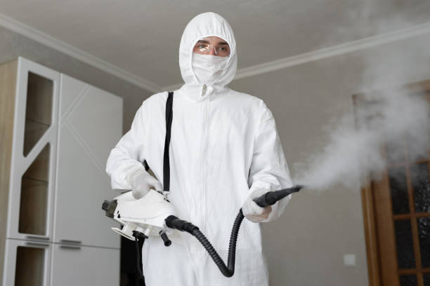 Why You Should Choose Our Mold Remediation Services in Ransom Canyon, TX